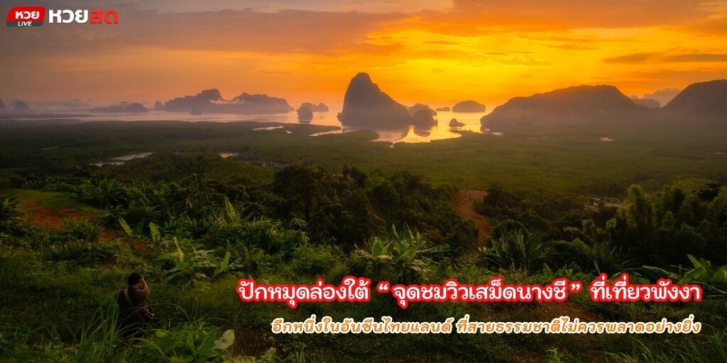 จุดชมวิวเสม็ดนางชี