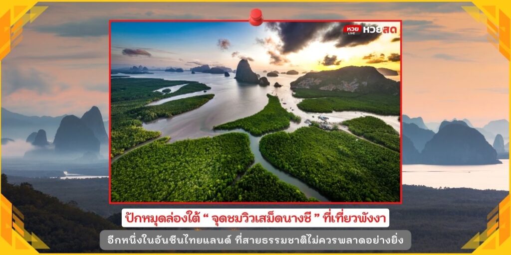 จุดชมวิวเสม็ดนางชี