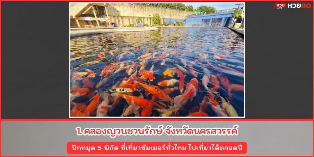 ที่เที่ยวซัมเมอร์
