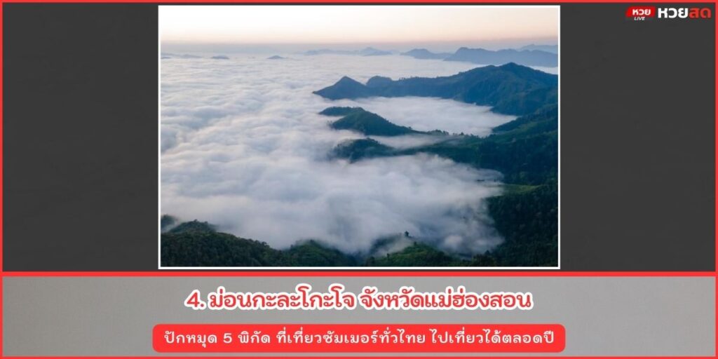 ที่เที่ยวซัมเมอร์